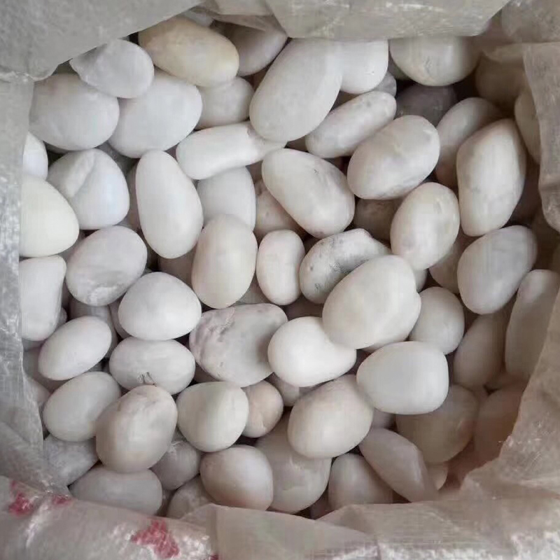 Polished white natural pebbles